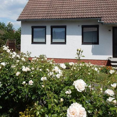 Fewo Am Sassenberg Blankenburg  Exteriör bild