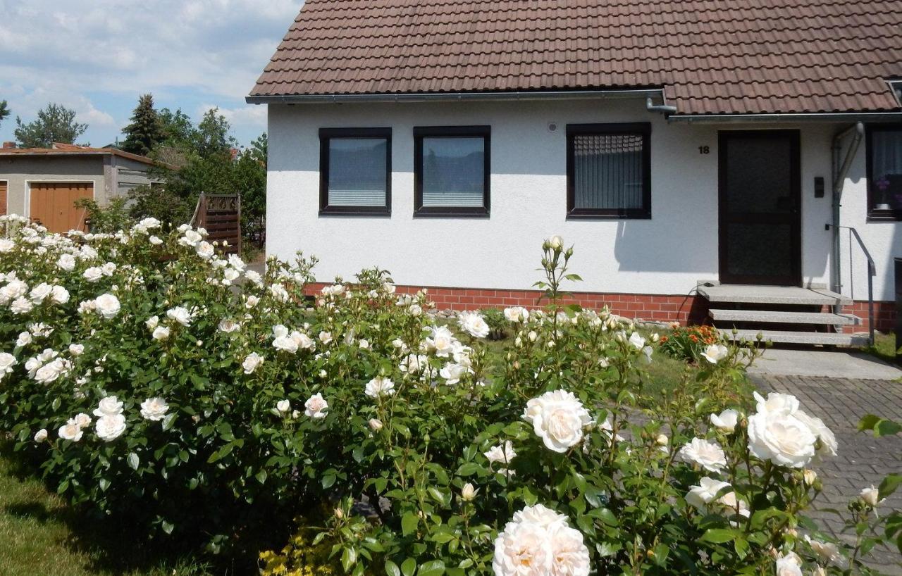Fewo Am Sassenberg Blankenburg  Exteriör bild